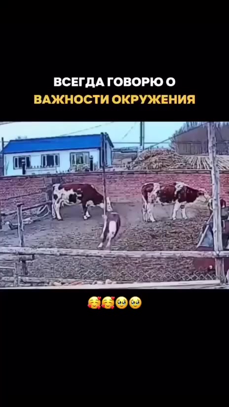 Не в себе