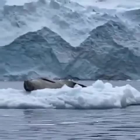 Вошел не в ту дверь