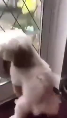 Отличный повод сесть на диету