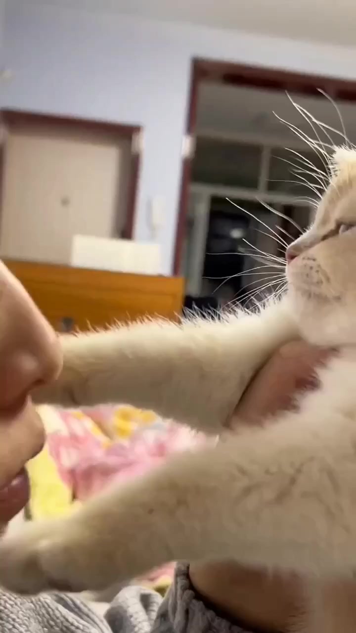 Сам себя целуй