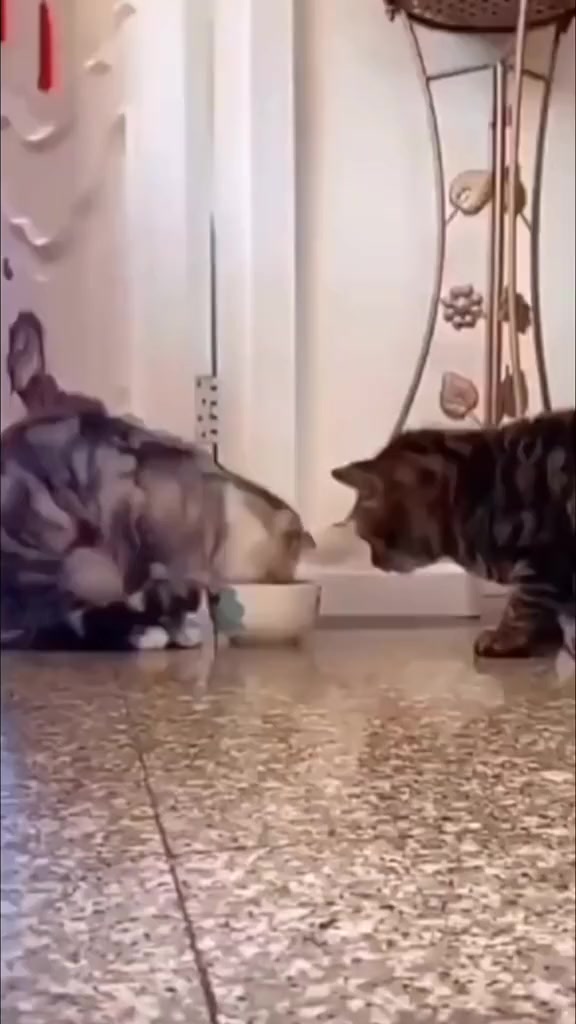 Самое милое за сегодня!