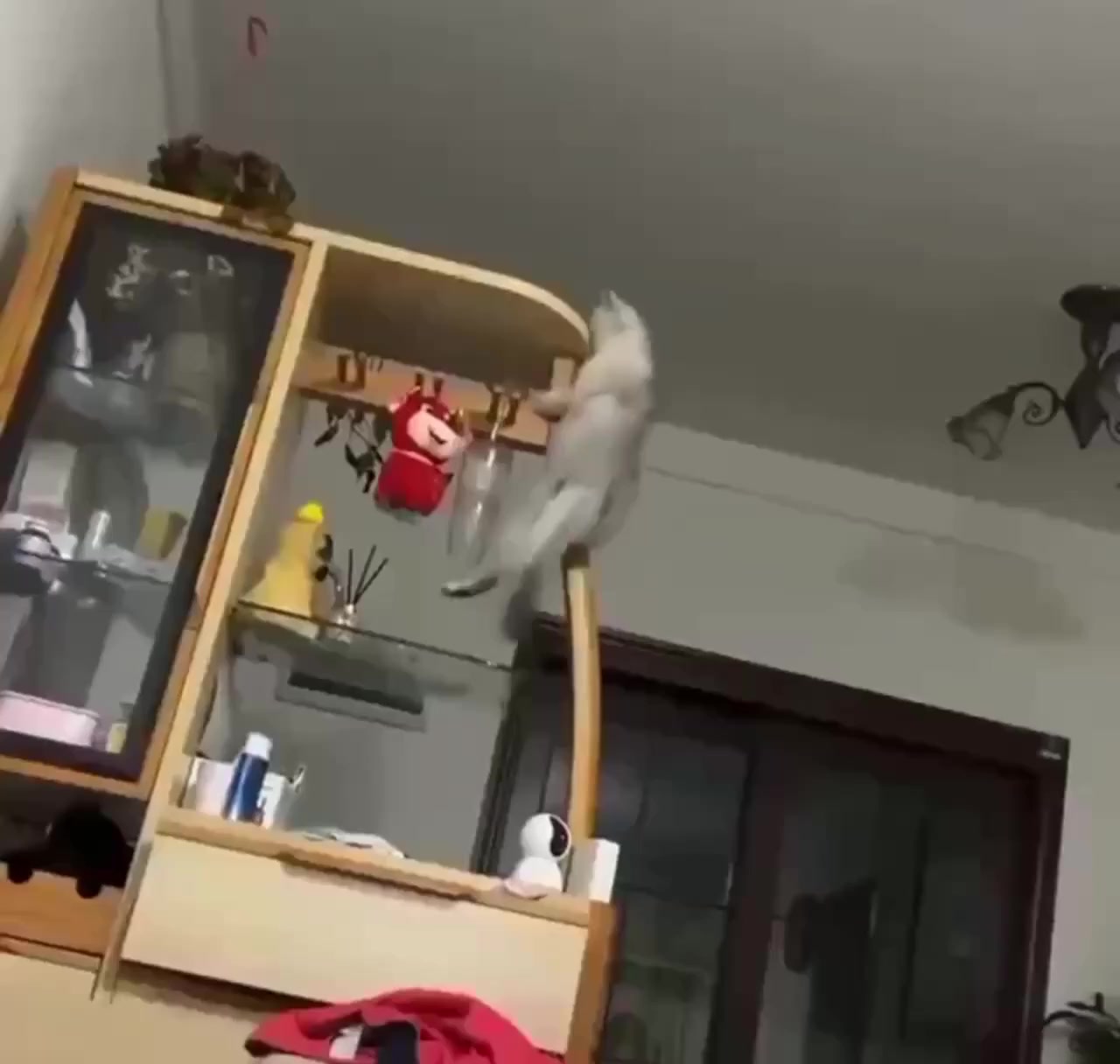 Нашкодничал