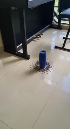 Муравьиный слэм