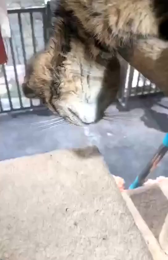 После тяжелой рабочей недели