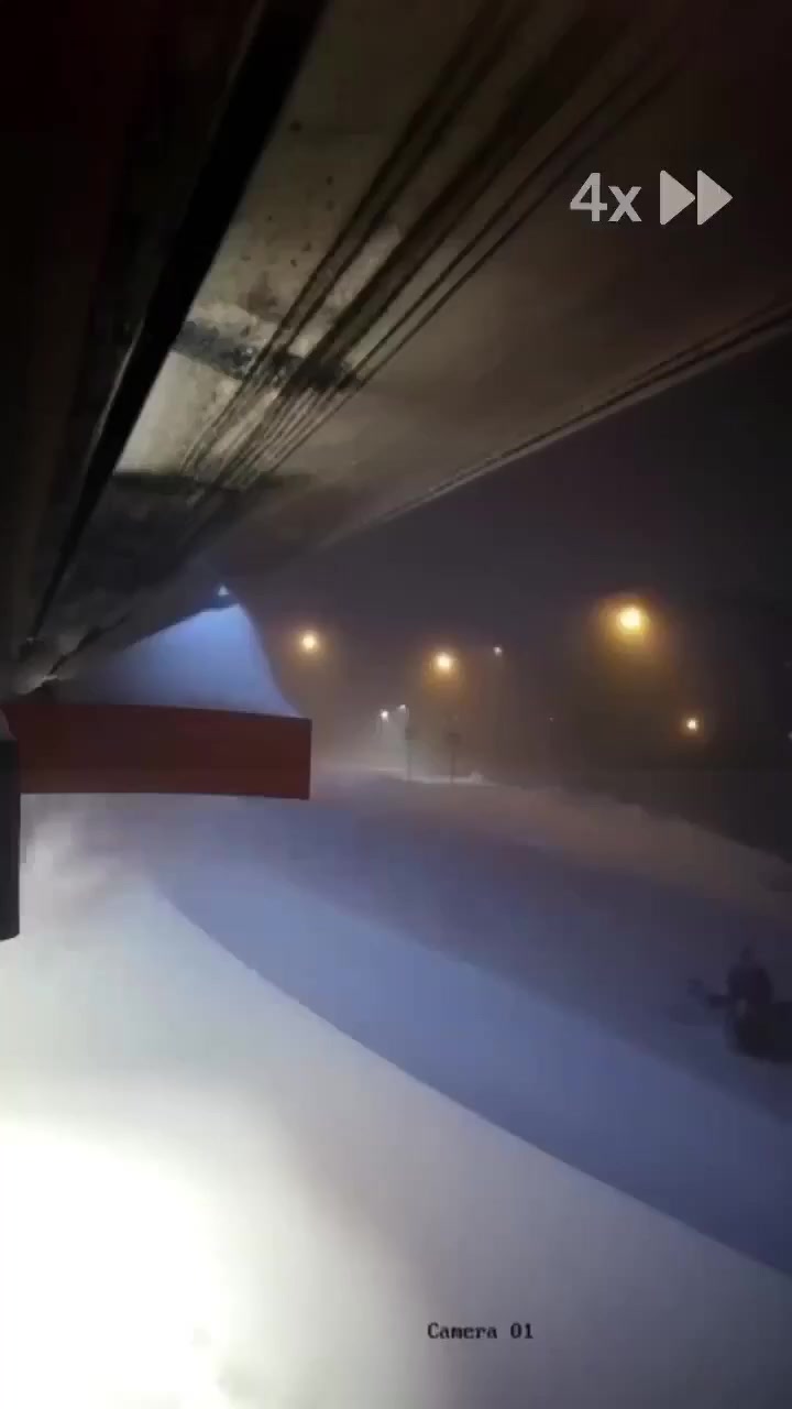 Пицца