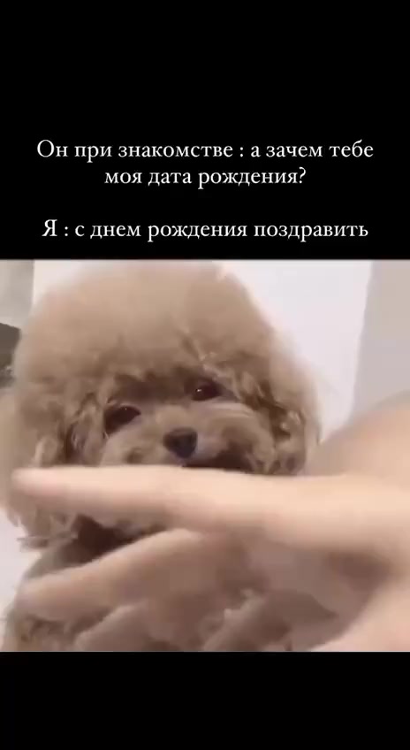Дата рождения