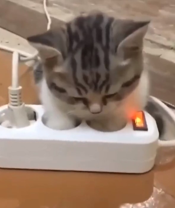 Я айкет
