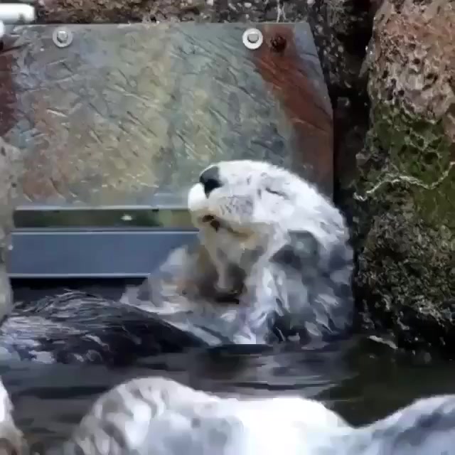 Моем щёчки