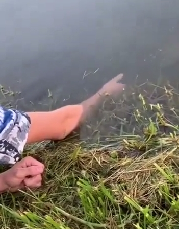 Ловись, рыбка, и мала и велика!