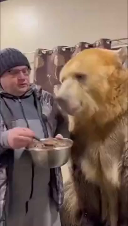 Вегетарианец