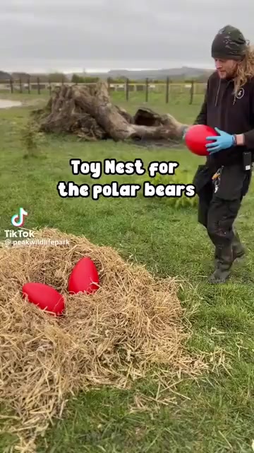 Развлекуха для медведей