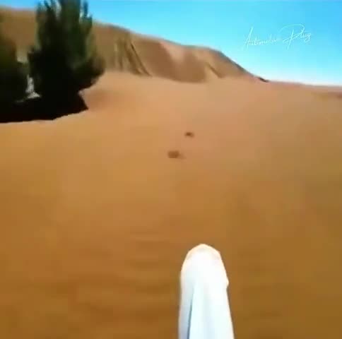 Сюрприз