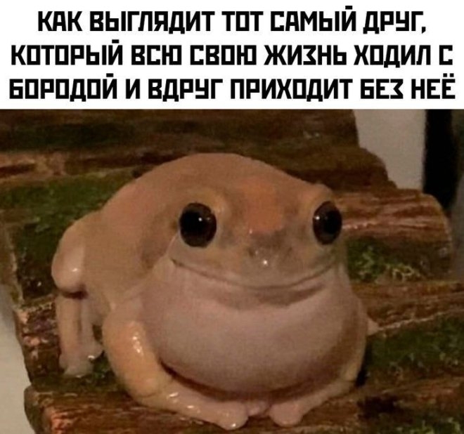 Как выглядит тот самый друг который всегда ходил с бородой но вдруг сбрил ее