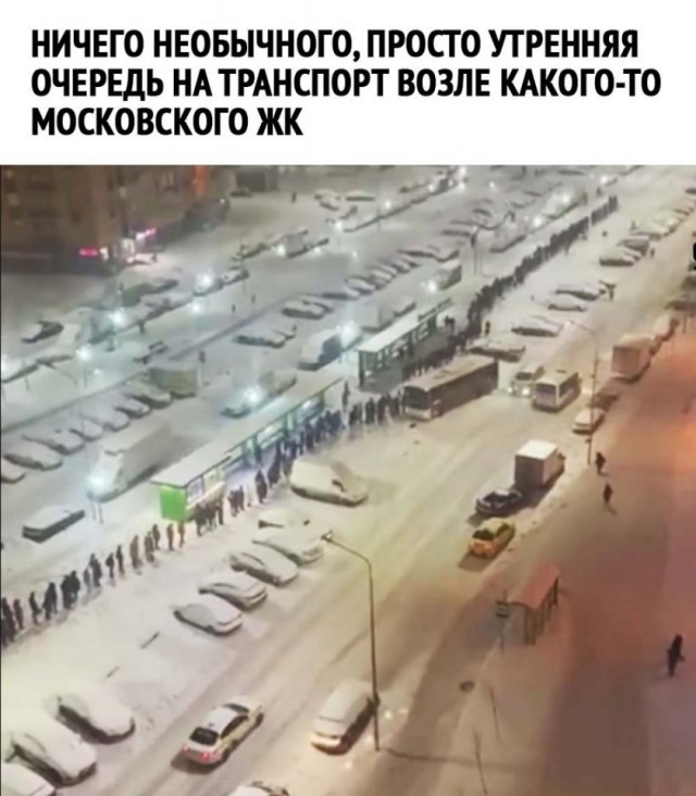 Мемы