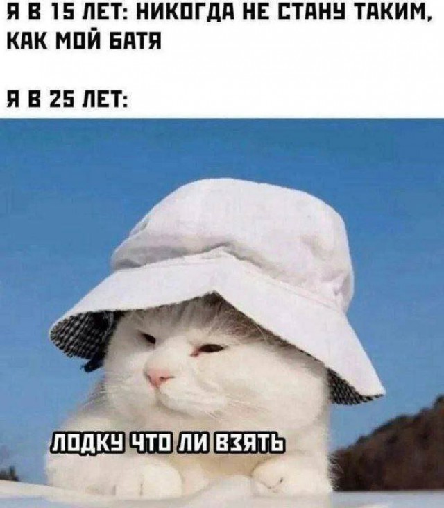 Мемы