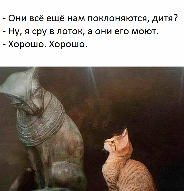 Мемы