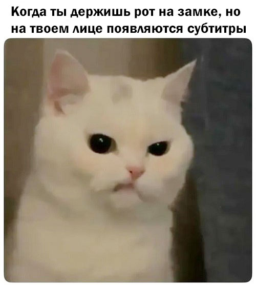 Мемы