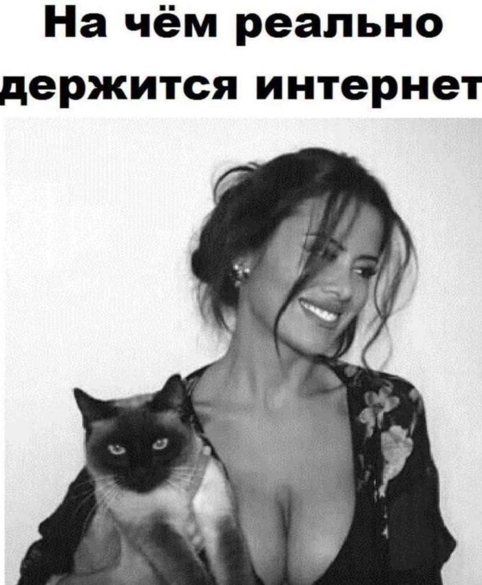 Сборник мемов для взрослых с черным юмором