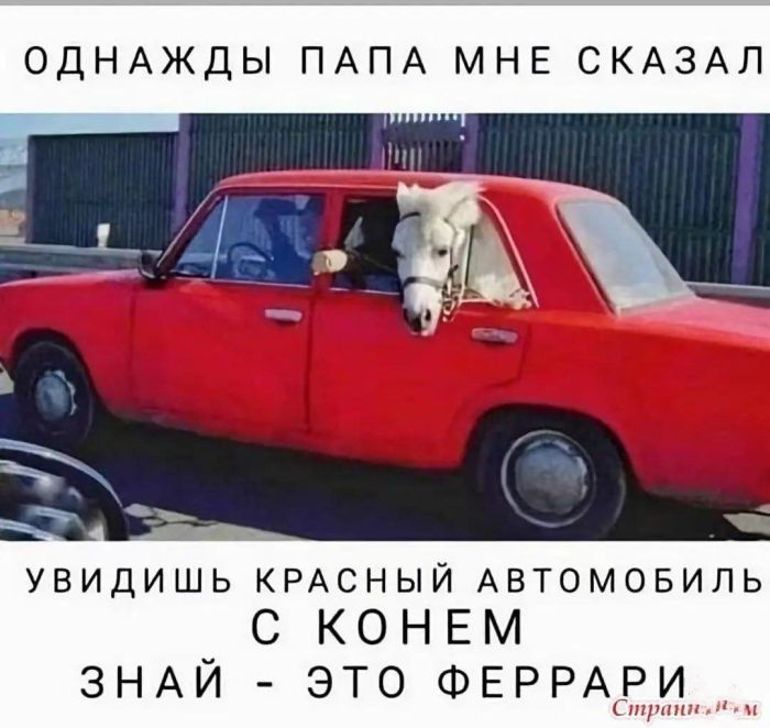 Мемы