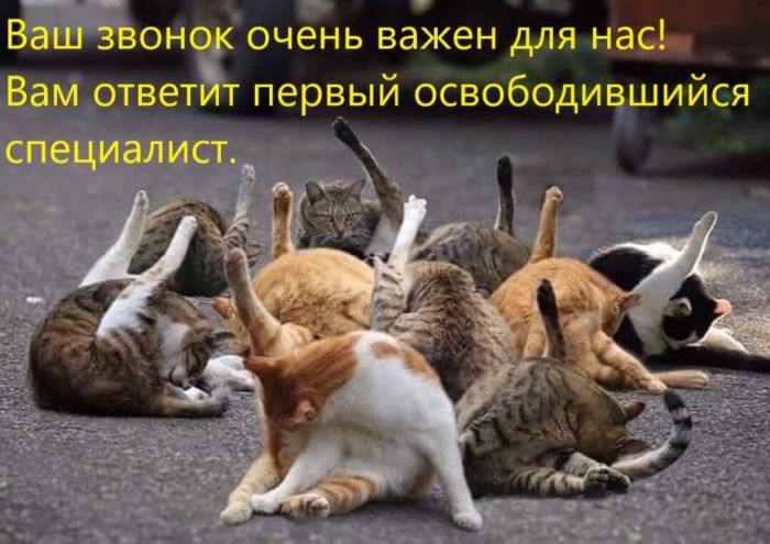 Пятница, ты прекрасна! Лови порцию позитива и смеха перед выходными!