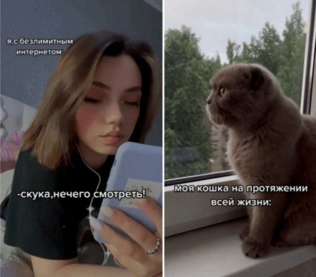 Мемы