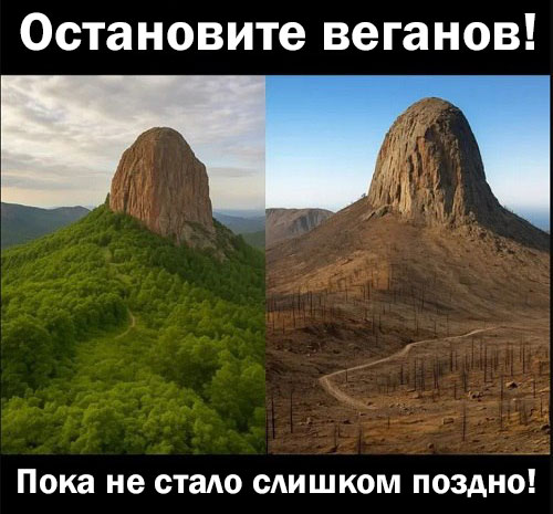 Мемы