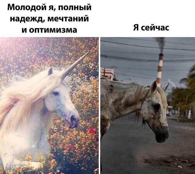 Мемы