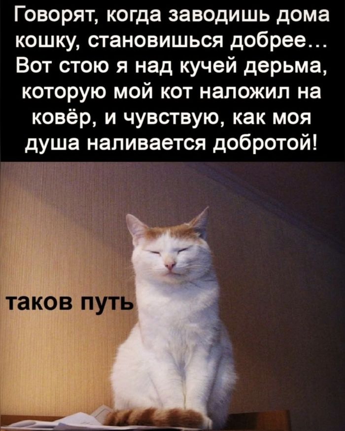 Мы позаботились о том, чтобы вы получили максимум позитива!