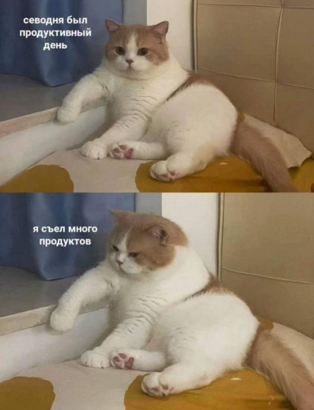 Мемы