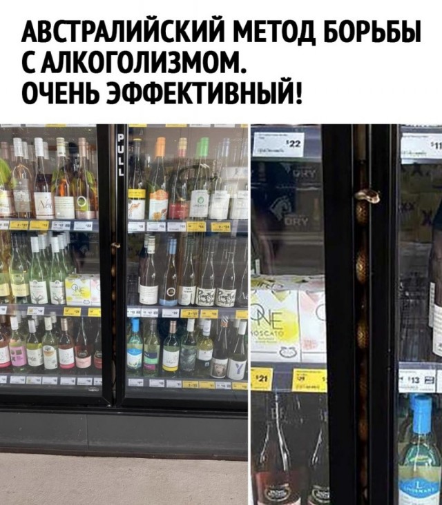 Мемы