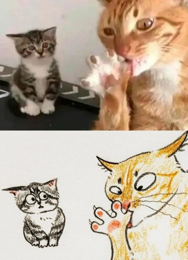 Мемы