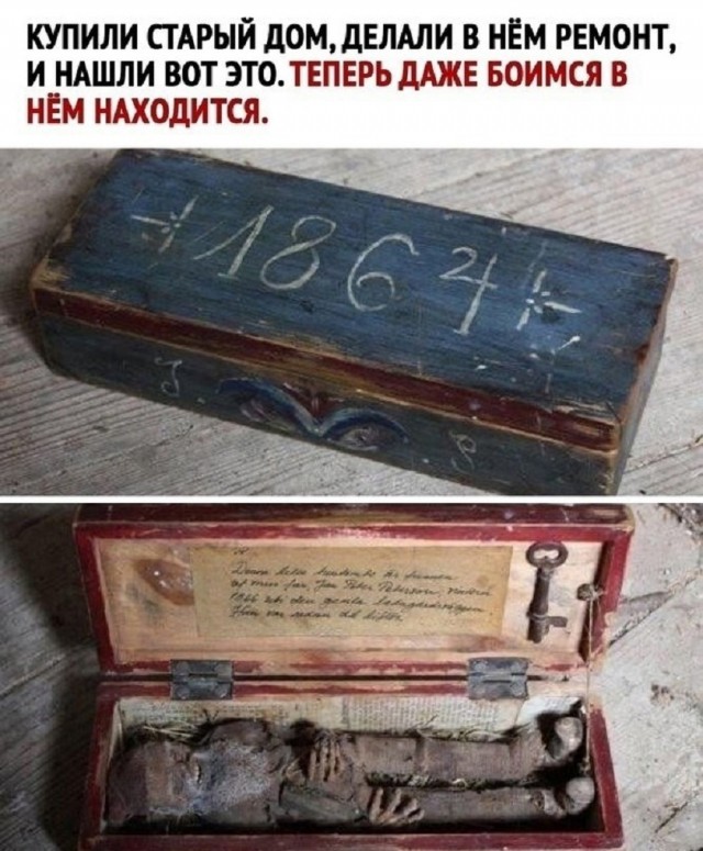 Мемы