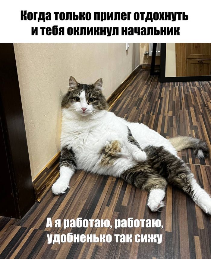 Ура, выходные! 🎉 Готовьтесь к взрыву позитива и смеха