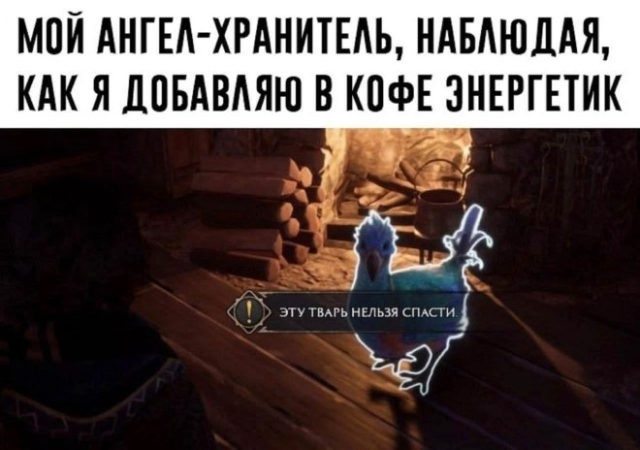 Мемы
