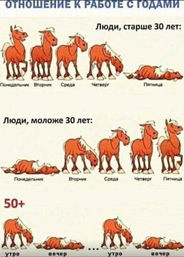 Мемы