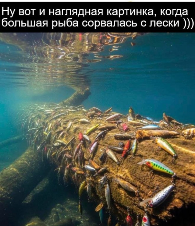 Мемы