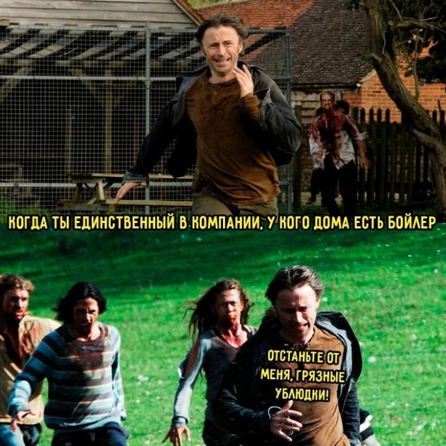 Мемы