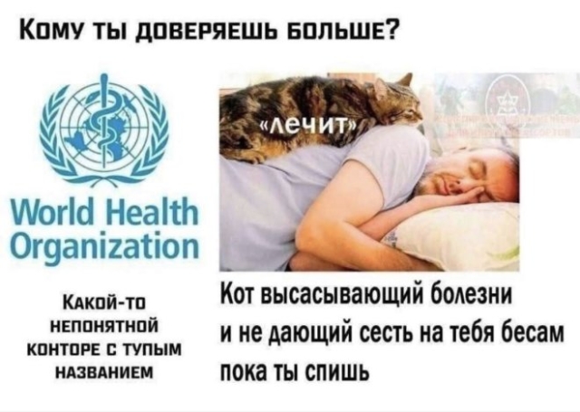Мемы