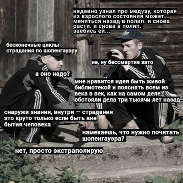 Мемы