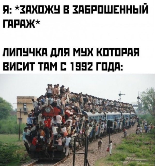 Мемы