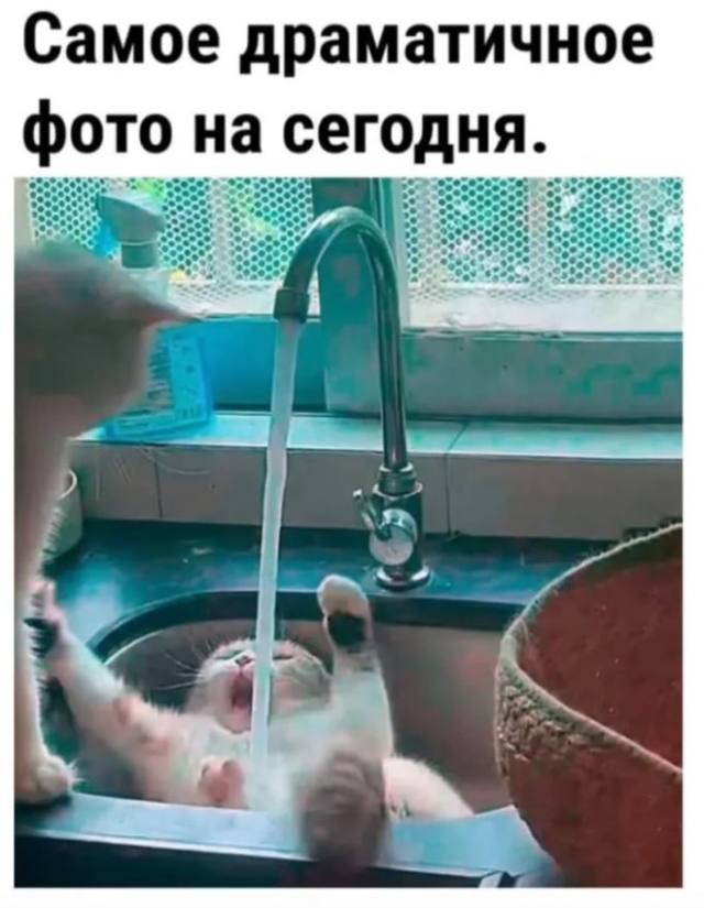 Мемы