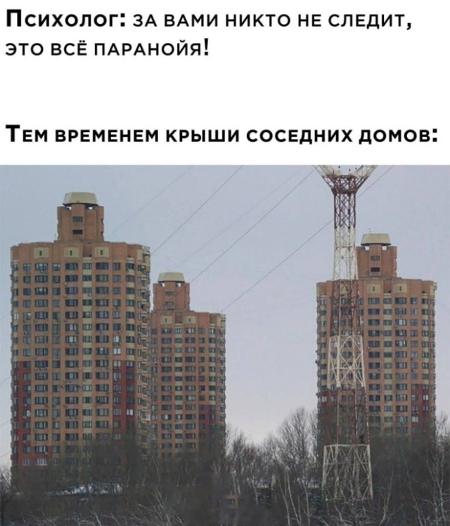 Мемы