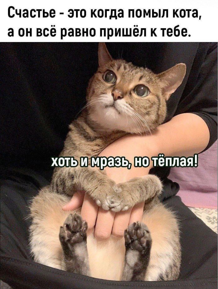 Веселые картинки