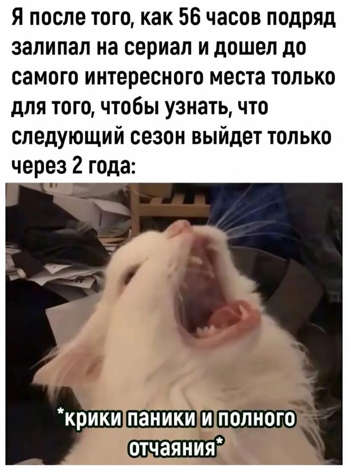Выходные начинаются с улыбки! 🥳