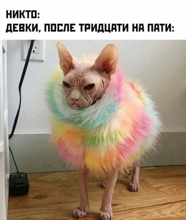 Веселые картинки