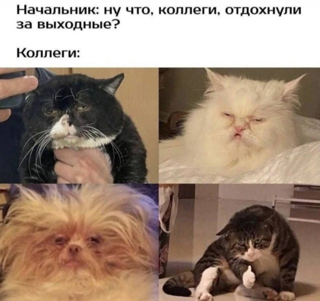 Веселые картинки