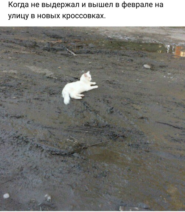 Воскресный заряд позитива: Лучшие мемы для отличного настроения!