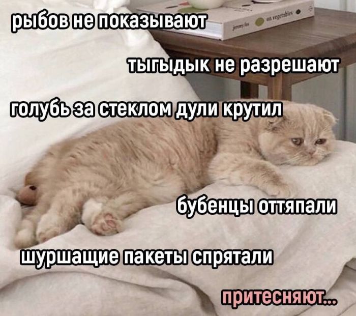 Веселые картинки