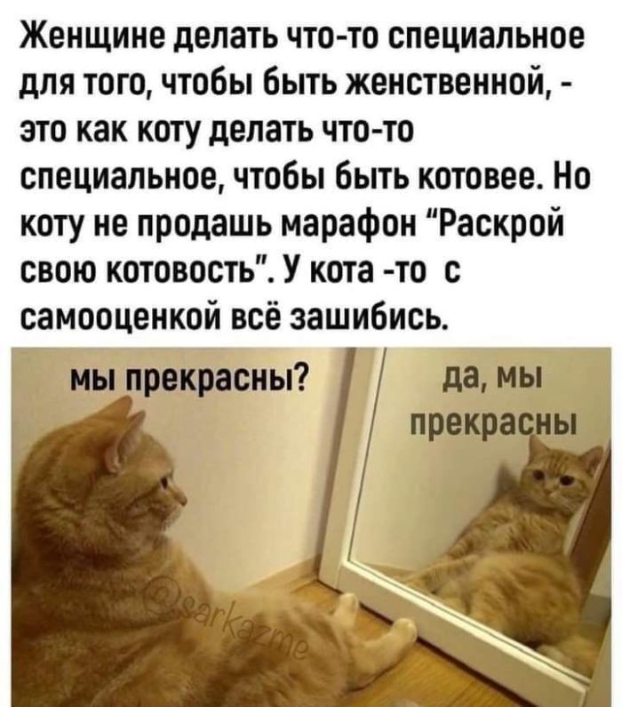 Максимум смеха! Большой сборник убойного юмора!