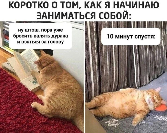 Устал от скуки? У нас есть решение!
